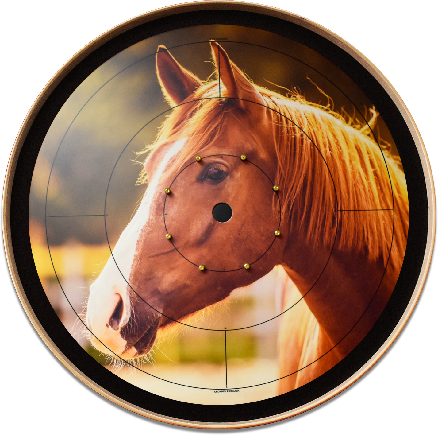 The Golden Horse - Tournament Style Crokinole Board Game Set (Meets NCA Standards)