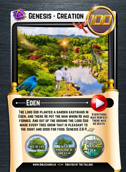 Genesis Edition Bible Cards - Pack of 26 Trading Cards