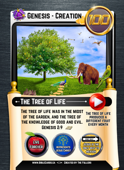 Genesis Edition Bible Cards - Pack of 26 Trading Cards