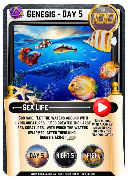 Genesis Edition Bible Cards - Pack of 26 Trading Cards