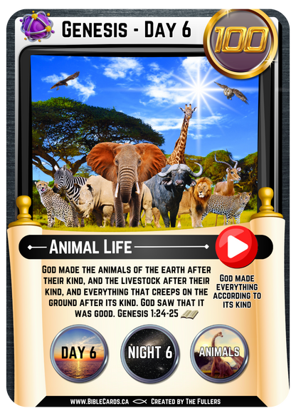 Genesis Edition Bible Cards - Pack of 26 Trading Cards